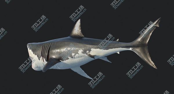 images/goods_img/20210312/3D Great Shark White/5.jpg